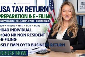 prepare and efile USA tax returns for individuals and businesses