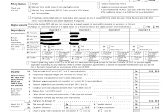 prepare and file form 1040 and form 1120 US tax returns