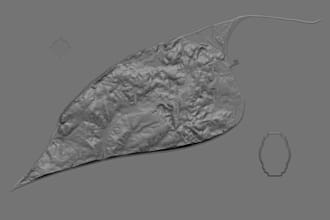 design photogrammetry 3d model, drone photo to digital elevation terrain model