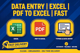 do data entry ,excel data entry, pdf to excel in 2 hours