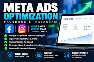 expertly optimize your meta ad campaigns in an optimization session