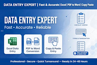 accurate data entry, excel typing and copy paste work