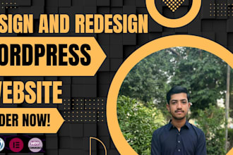 design and redesign wordpress websites