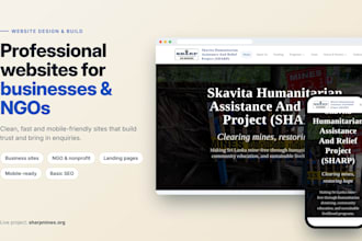 build a professional website for your business or ngo