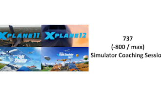 coach you to fly the boeing 737 in msfs or xplane