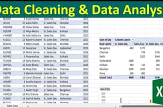 clean, format, merge , split excel data