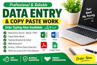 do data entry, pdf to excel ,copy paste and typing work