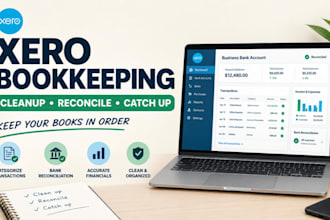 do xero bookkeeping, cleanup and reconciliation