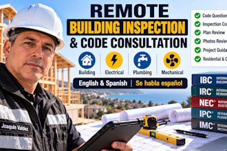 provide remote building inspection and code consultation