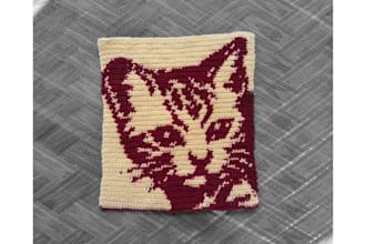 teach you how to crochet