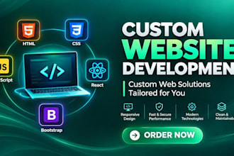 do custom website development as full stack developer and front end developer