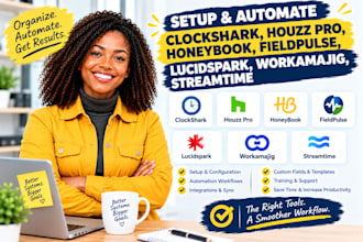 clockshark, houzz pro, honeybook, fieldpulse, lucidspark, workamajig, streamtime