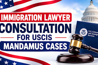 provide immigration lawyer consultation for uscis mandamus cases