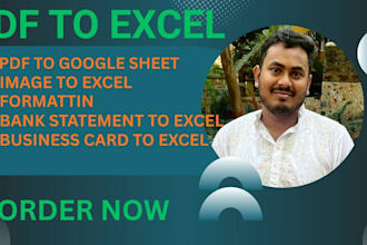 pdf to excel conversion, data entry specialist