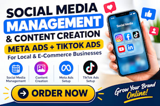 manage social media and run meta, tiktok ads for local and e commerce business