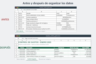 organizo datos en excel brindo apoyo administrativo