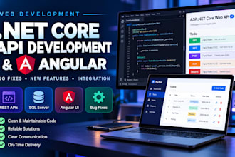 develop a custom dotnet core web API and angular application