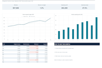 professionally format your excel spreadsheets and reports