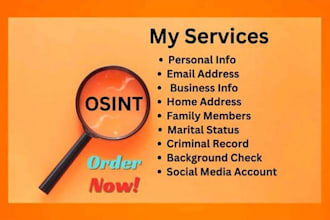 provide private detective, background check, osint, and find someone