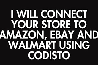 connect your store to amazon, ebay and walmart using codisto