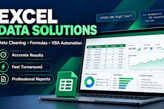 clean, analyze and visualize your excel data professionally