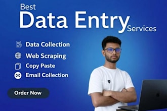 do accurate data entry, data collection, web scraping excel