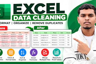 clean, format and organize excel spreadsheets