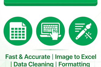 do excel data entry, image to excel and pdf to excel