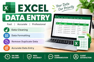 excel data entry and data cleaning