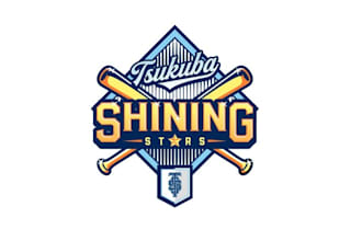 design cool baseball team logo