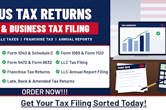 prepare and efile US tax returns, form 1040, schedule c and prior year taxes