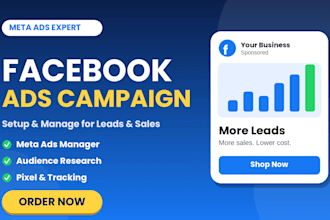 setup manage facebook ads, fb ad campaign, meta ads manager, fb advertisement