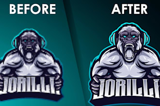 vector tracing, image to vector,raster to vector, vectorize image,redraw artwork