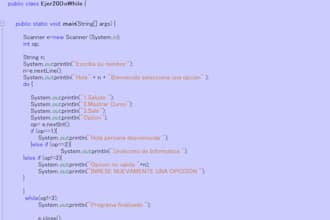 clases basicas del lenguaje de programacion java
