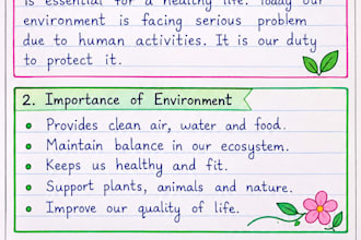 neat handwritten notes and assignments in english and hindi