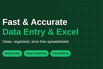 do accurate data entry and excel cleanup