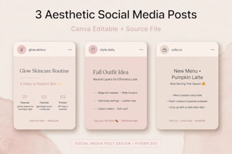 design aesthetic social media posts in canva