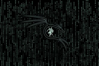 troubleshoot network issues and provide IT support