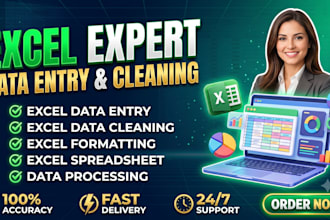 provide excel services with accurate and fast delivery