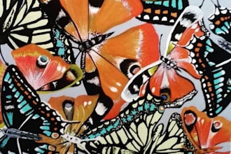 paint vibrant butterfly abstract pattern art