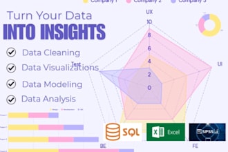 be your data analyst , do data analytics and reporting