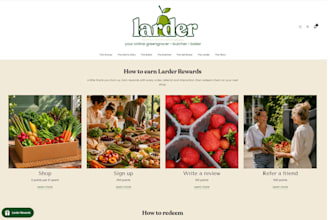 manage and update your shopify store professionally