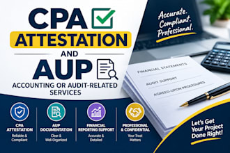 provide professional CPA and agreed upon procedures aup support