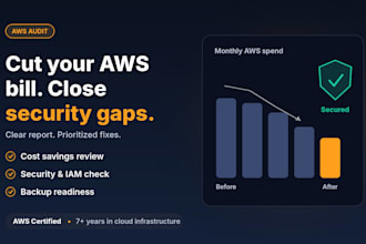audit your AWS account for cost savings and security risks