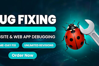 fix bugs and debug your website or web app