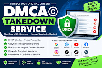 file dmca takedown notices for copyright infringement