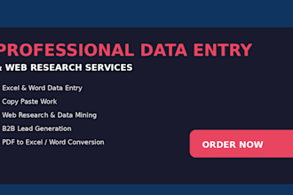 do professional data enty