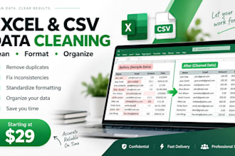 clean, organize and format excel and CSV data