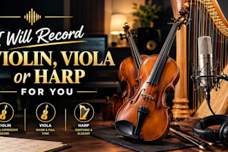 record violin, viola or harp for you