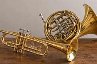 record professional trumpet and french horn for your songs